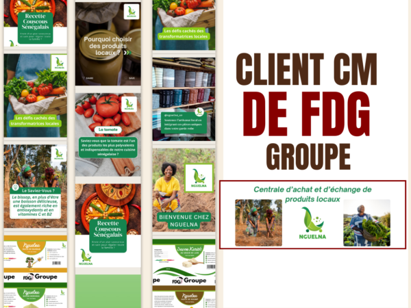 Nguelna – Création Facebook